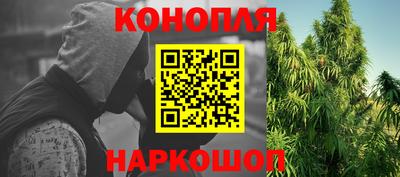 каннабис Кингисепп