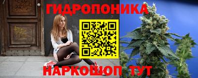 спиды Кимры