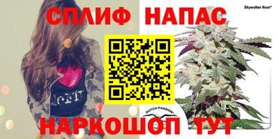 каннабис Кингисепп