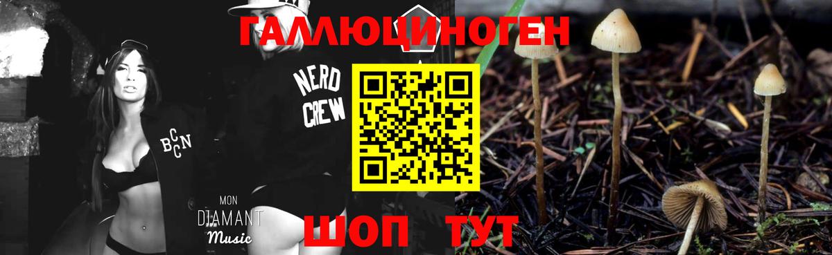 Галлюциногенные грибы Magic Shrooms Чехов